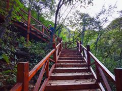 -大岭沟猕猴桃谷风景区