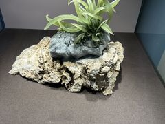 -大连自然博物馆