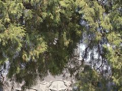 -清风小镇闯关东影视基地
