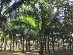 -白沙门生态公园