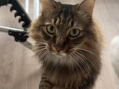 -树厨贵州菜(花果园购物中心店)