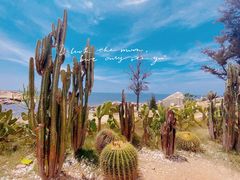 -广东惠东海龟国家级自然保护区