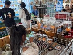 -蓝湾碧波·老字号·疍家非遗海上餐厅