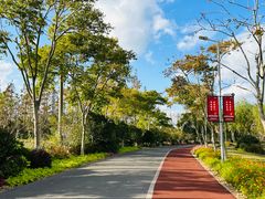 -上海长兴岛郊野公园