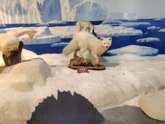 -陕西自然博物馆