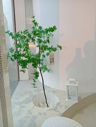 -欧莉瑜伽·普拉提馆