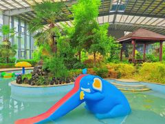 -泗洪洪泽湖湿地景区