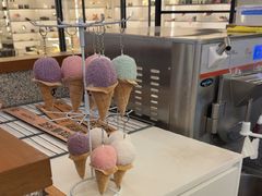 -野人先生Gelato(上海长宁龙之梦店)