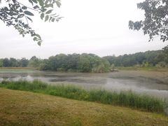 -白鹭湾湿地公园