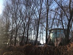 -东北师范大学(净月大街校区)