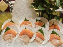 -半岛翡丽海鲜自助餐厅(观风亭店)