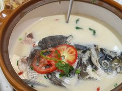 -全乐鱼馆·淳牌有机鱼直营店