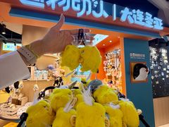 -大连圣亚海洋世界