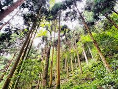 -东天目山风景区