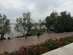 -宝安西湾红树林湿地公园