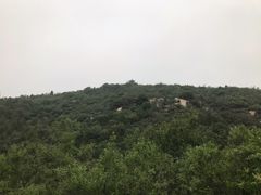 -白水寺森林公园