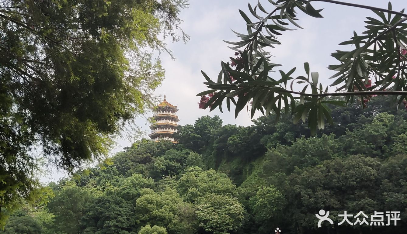 五层山顶楼阁，小榄全景一览无余