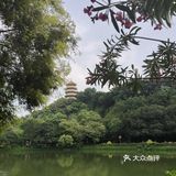 五层山顶楼阁，小榄全景一览无余