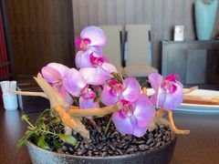 -山港凯悦酒店·东海88私房菜