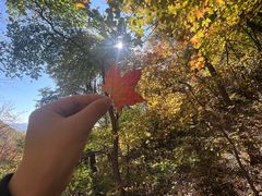 -九鼎铁刹山风景区