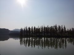 -浙江大学(海宁国际校区)