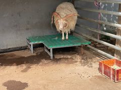 -瑞博尔花园酒店(太周创新产业园店)