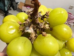 -三旗百汇商品城