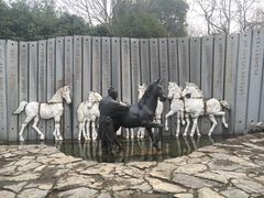 -白马涧龙池景区