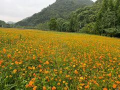 -贵阳市花溪国家城市湿地公园
