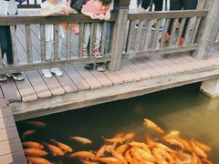 -枫香湖儿童公园