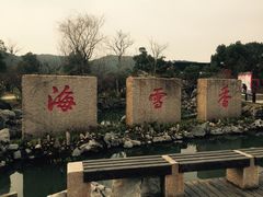 -香雪海