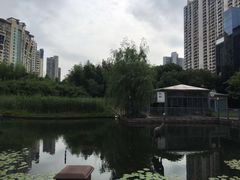 -苏州河梦清园环保主题公园