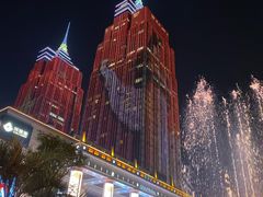 -环球港凯悦 · 享悦中餐厅