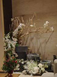 -恒美雅轩·品牌直营连锁