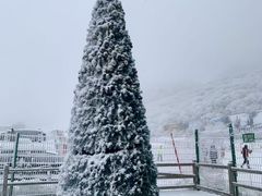 -太子岭滑雪场