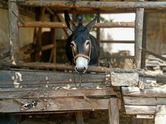 -清风小镇闯关东影视基地