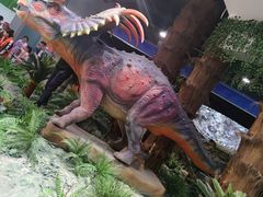 -辽宁古生物博物馆