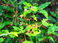 -风云岭森林公园