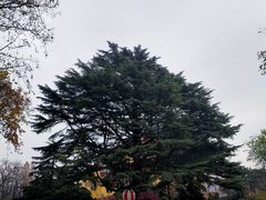 -青岛德国总督楼旧址博物馆