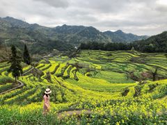 -灵山景区梯田