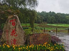 -邓小平故里