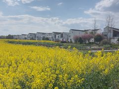 -东梓关景区村庄