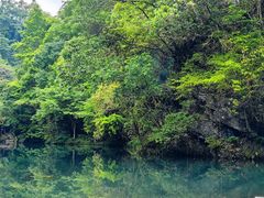 -石台牯牛降景区