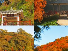 -广州市石门国家森林公园