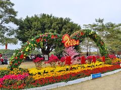 -海珠湖公园