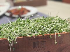 -阿庄新豫菜(航海东路店)