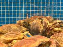 -海月轩海鲜豆捞(紫金塔店)