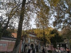 -岳麓山风景名胜区