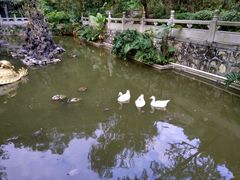 -国恩寺