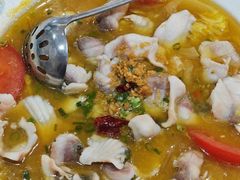 -港升鱼师傅·中山脆肉鲩